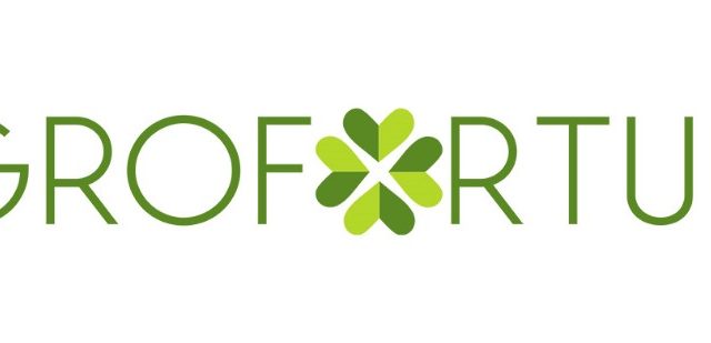 Imagen-de-WhatsApp-2024-07-09-a-las-15.52.23_bece57dd