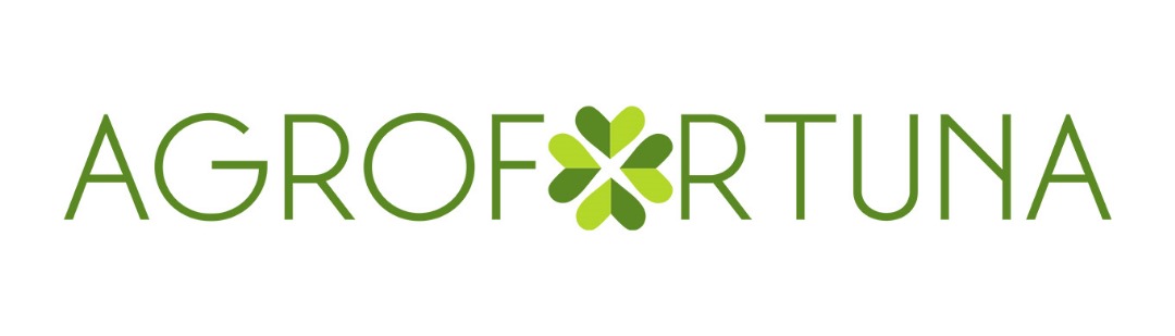 Imagen-de-WhatsApp-2024-07-09-a-las-15.52.23_bece57dd