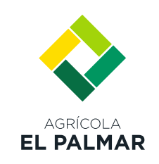 logo-aep-1