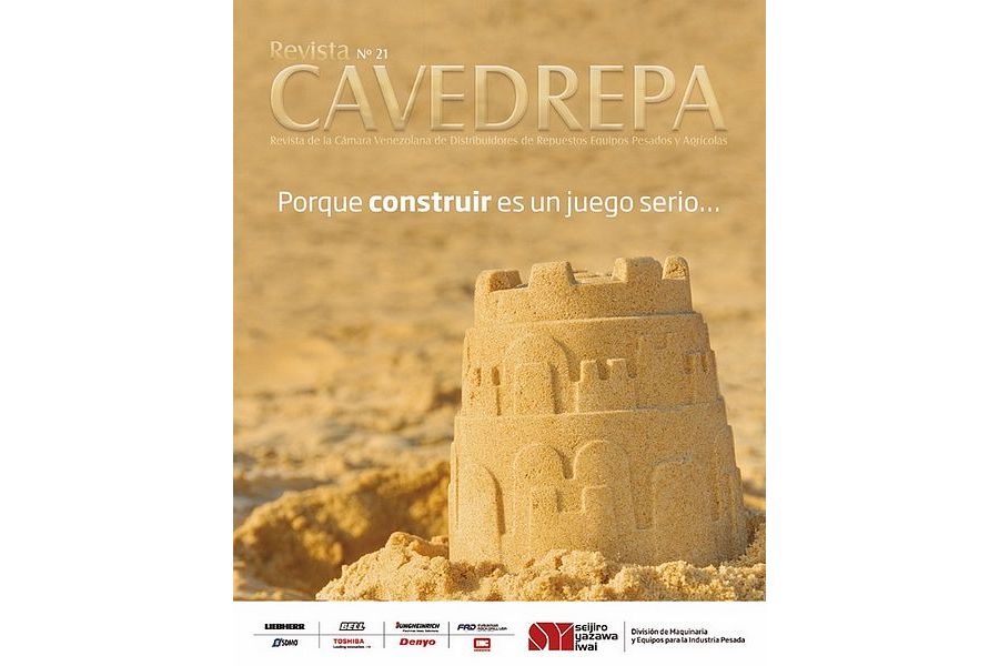 Lee más sobre el artículo Revista CAVEDREPA Nº 21 – 6to. Aniversario