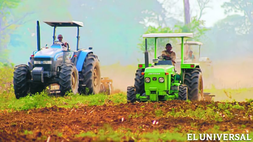Lee más sobre el artículo Sector agrícola reclama su inclusión en las subastas