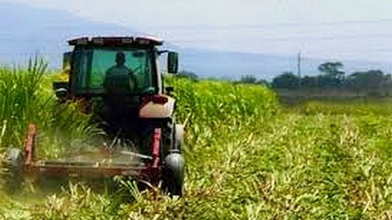 Lee más sobre el artículo El sector agrícola tendrá subasta para sus insumos