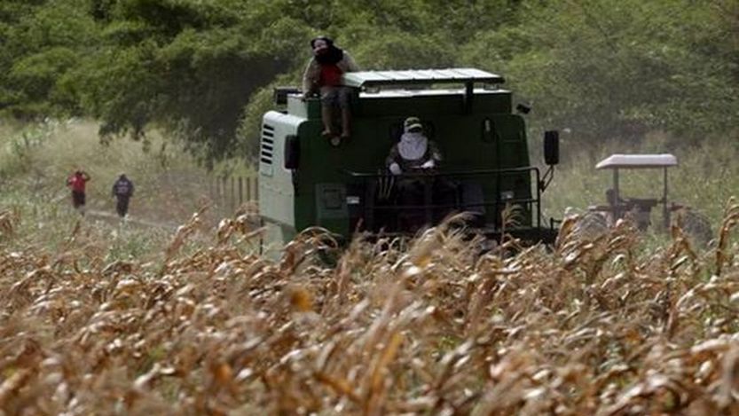 Lee más sobre el artículo Piden para mecanización agrícola $ 3 mil millones