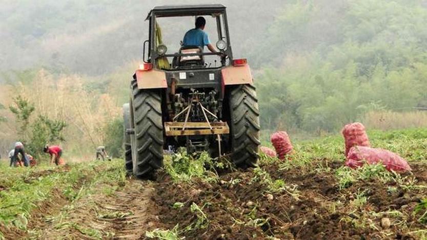 Lee más sobre el artículo Falta de inversión afecta al sector agrícola local