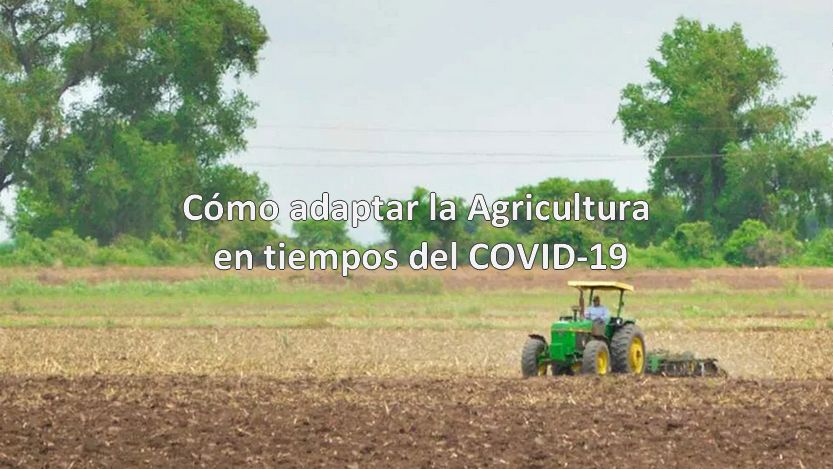 Lee más sobre el artículo Cómo adaptar la Agricultura en tiempos del COVID 19