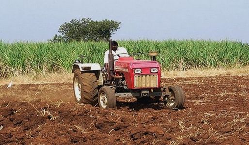 Lee más sobre el artículo Sector agrícola a la espera del Gobierno para subasta